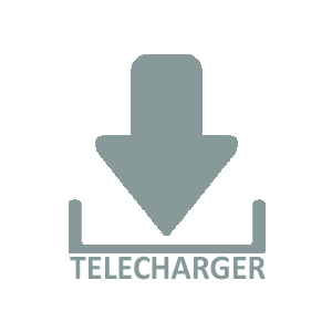 LOGO NB telechargement