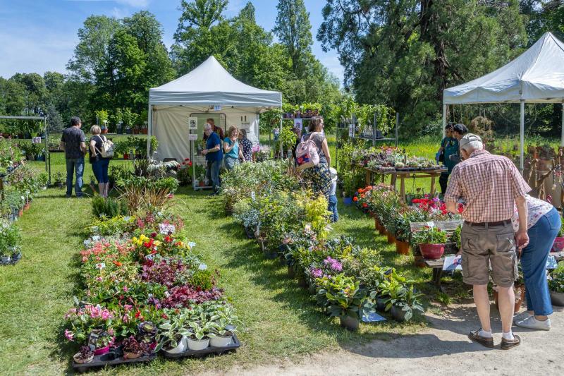 2024-05-11-Fete-des-Jardins-selec-site-2097