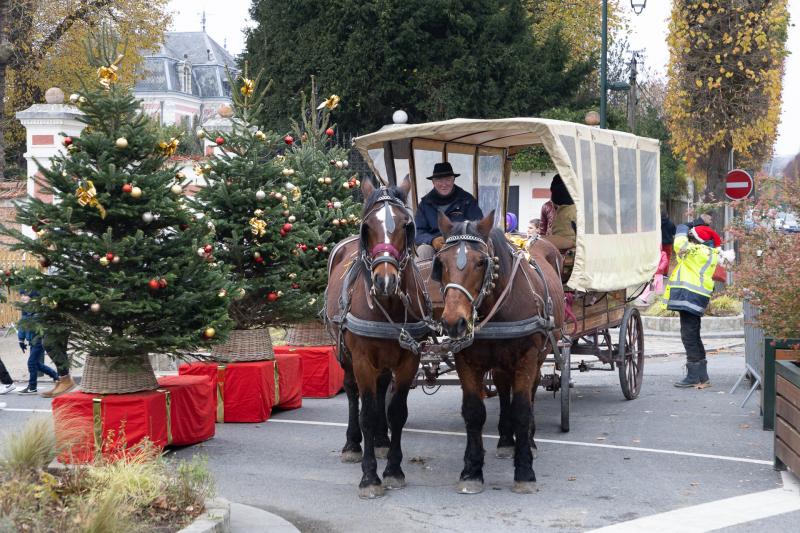 2024-12-01-Marche-de-Noel-web-4373